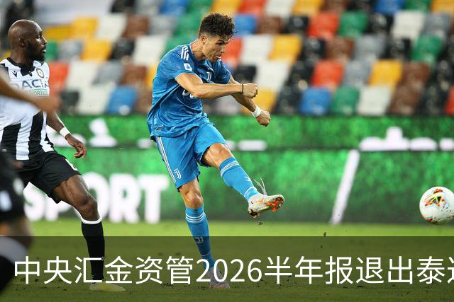 中央汇金资管2026半年报退出泰达股份前十大股东名单