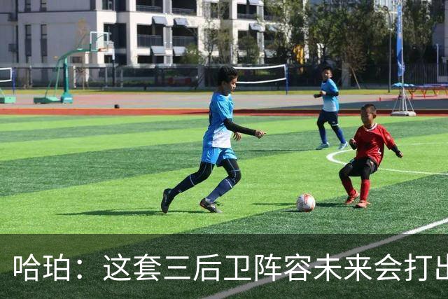 哈珀：这套三后卫阵容未来会打出更好表现