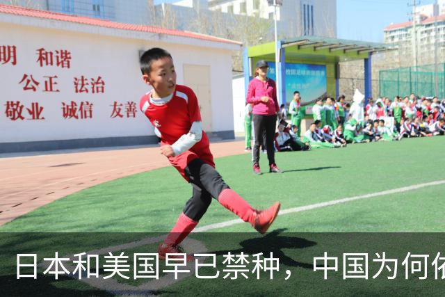 日本和美国早已禁种，中国为何依然大力种植？背后原因不简单