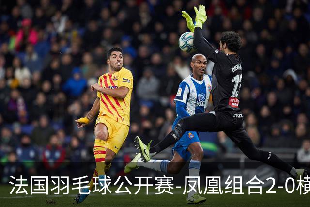 法国羽毛球公开赛-凤凰组合2-0横扫进次轮 丫邦组合2-1逆转