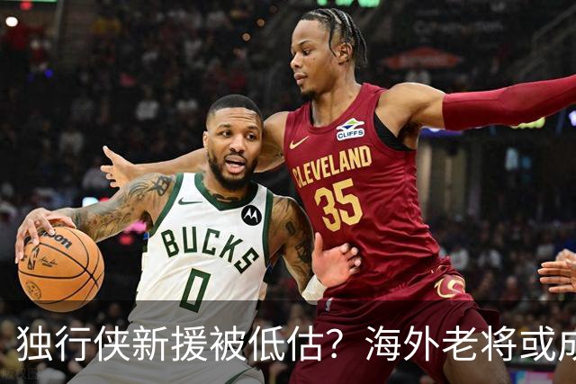 独行侠新援被低估？海外老将或成最大惊喜