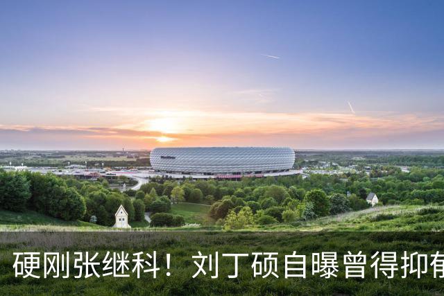 硬刚张继科！刘丁硕自曝曾得抑郁症：想结束 输给樊振东是最高光时刻