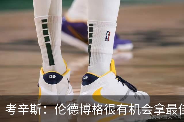 考辛斯：伦德博格很有机会拿最佳新秀 科尔认为他是球队二号球员