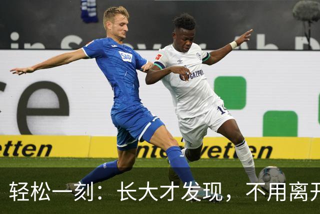 轻松一刻：长大才发现，不用离开故乡，才是真本事~