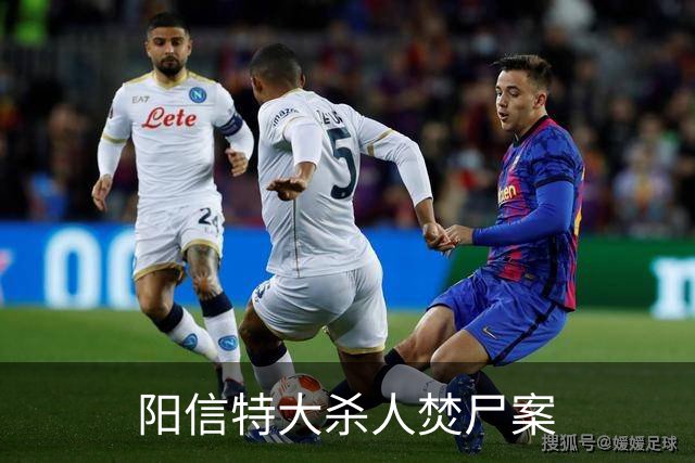 阳信特大杀人焚尸案